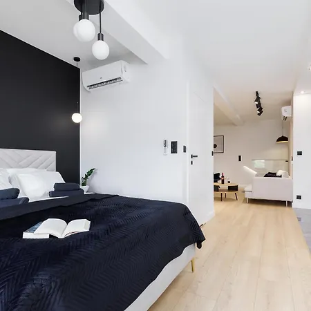 Grand House Apartment *
